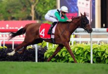 China-Equine-Cultural-Festival-CECF | AGB - Asia Gaming Brief