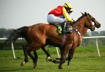 horse-and-jockey-1 | AGB - Asia Gaming Brief