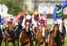 horse-racing_4 | News | Gambling | Asia Gaming News | AGB - Asia Gaming Brief