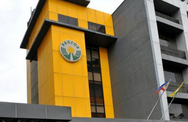 Pagcor office Pagcor office