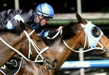 tasracing | News | Gambling | Asia Gaming News | AGB - Asia Gaming Brief