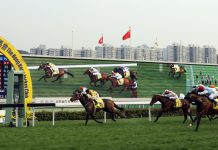MJC_1 | AGB - Asia Gaming Brief