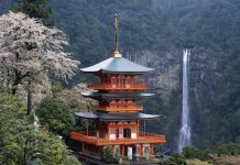 Japan Wakayama generic
