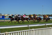 Australia_Queensland_racing_2 | News | Gambling | Asia Gaming News | AGB - Asia Gaming Brief
