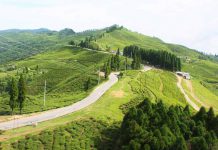 Jhapa | News | Gambling | Asia Gaming News | AGB - Asia Gaming Brief
