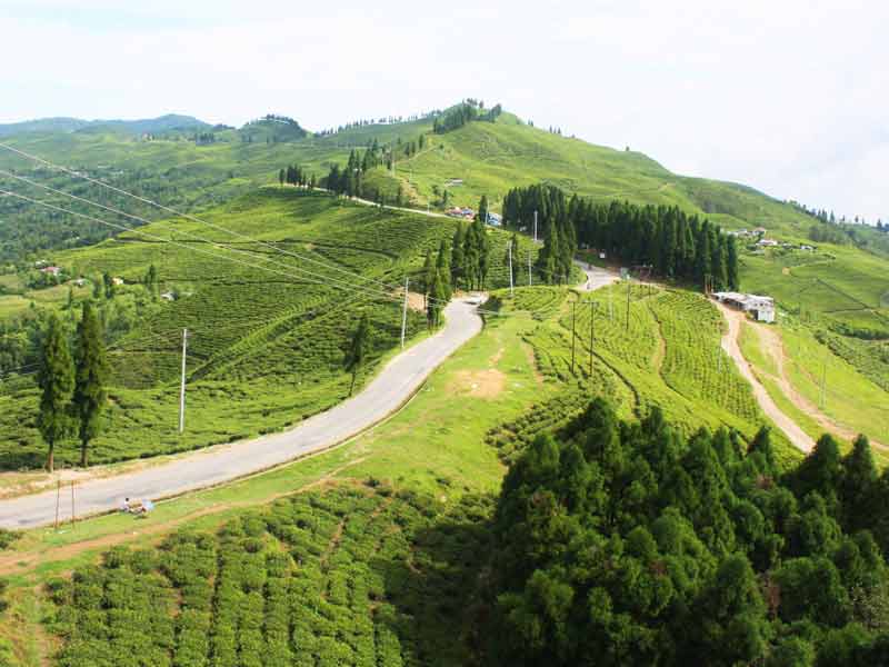 Jhapa
