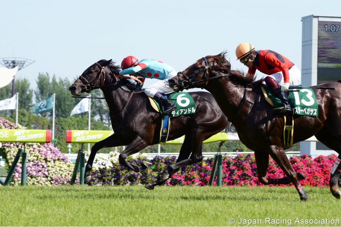 JRA-Photo-5-696x464