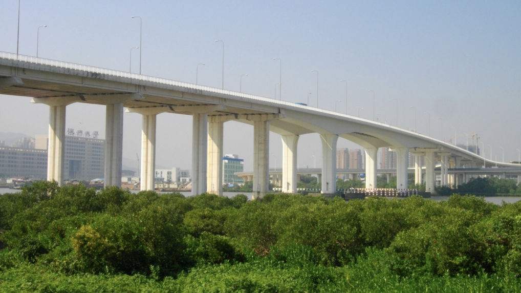 Lotus Bridge