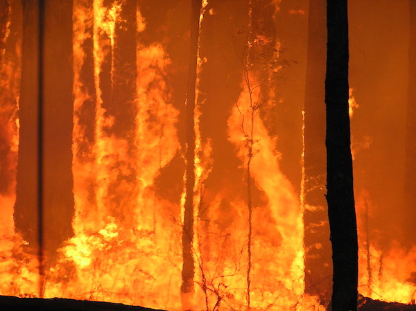 Australia bushfire Australia bushfire