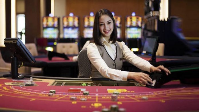 Macau Dealer
