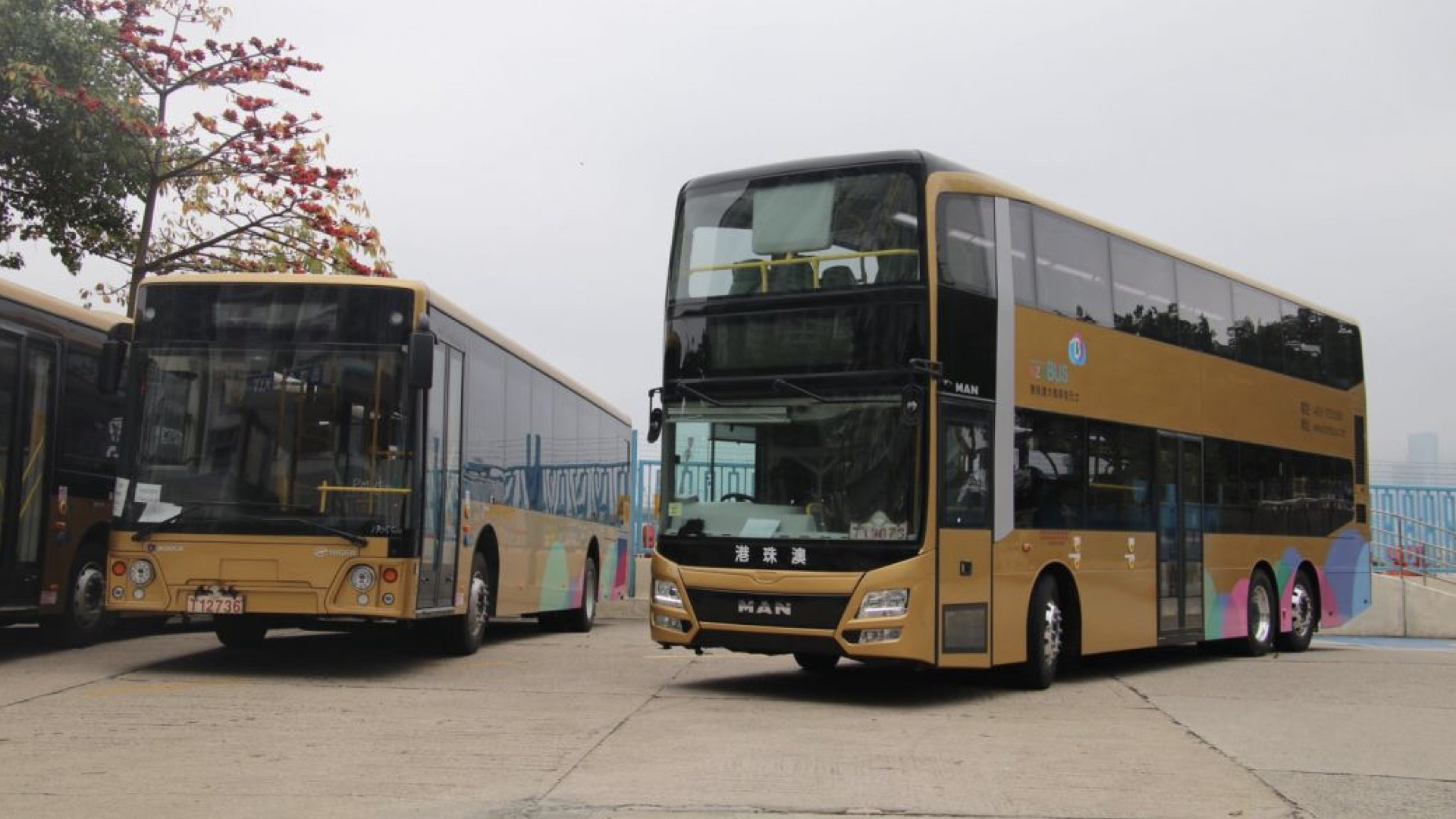 Macau HK Bus