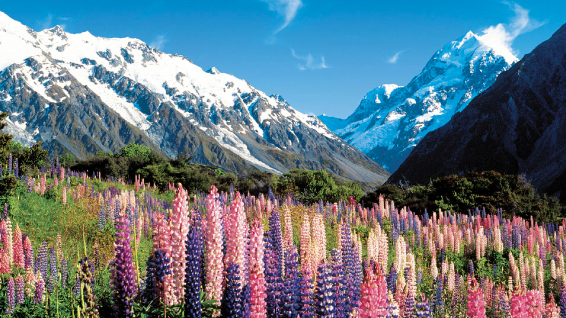 New Zealand Tourism