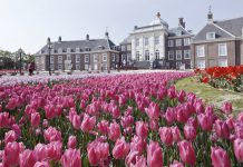 Huis Ten Bosch | AGB - Asia Gaming Brief