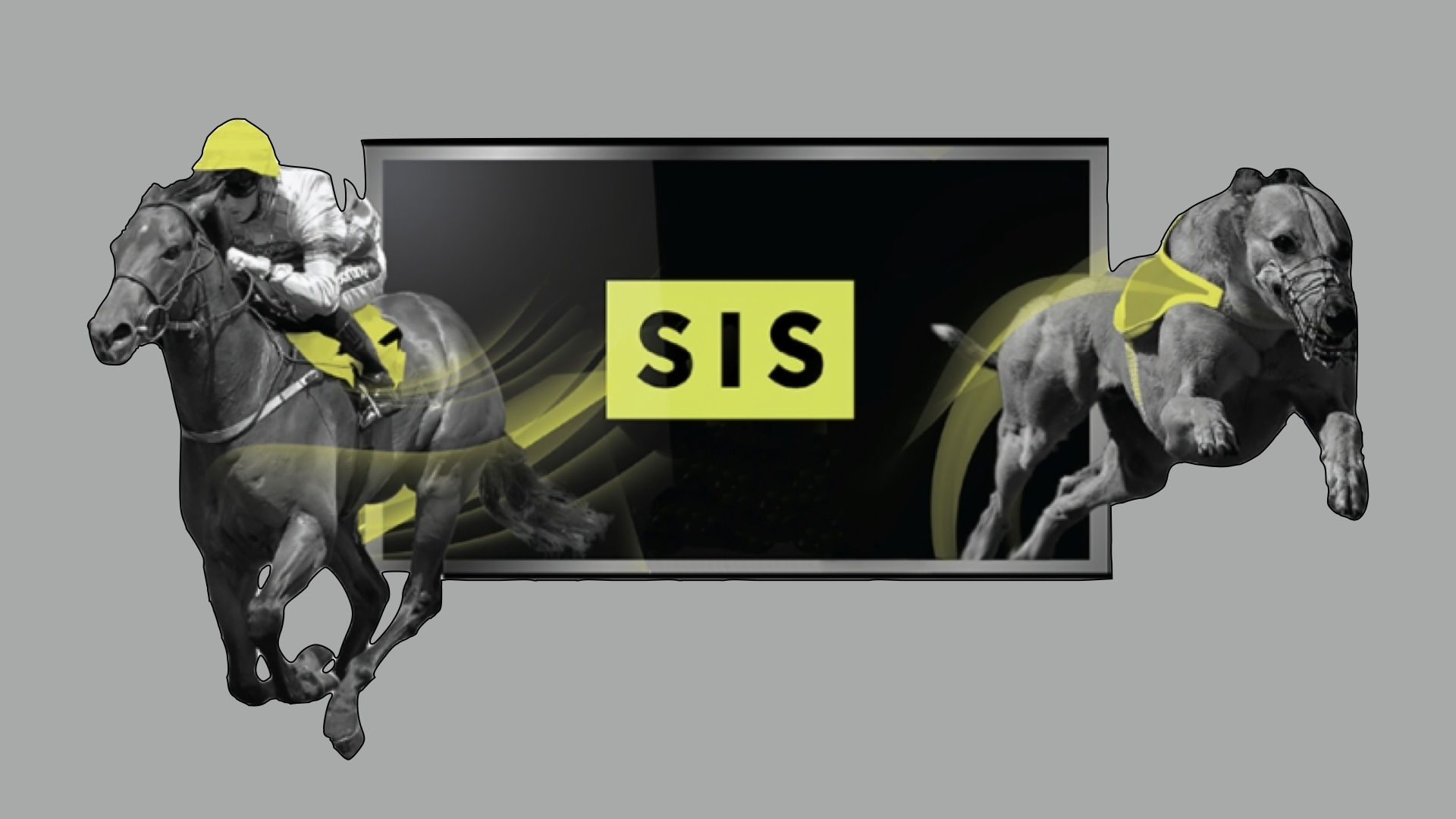 SIS Logo Gray