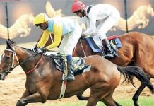 Bangalore Turf Club | AGB - Asia Gaming Brief