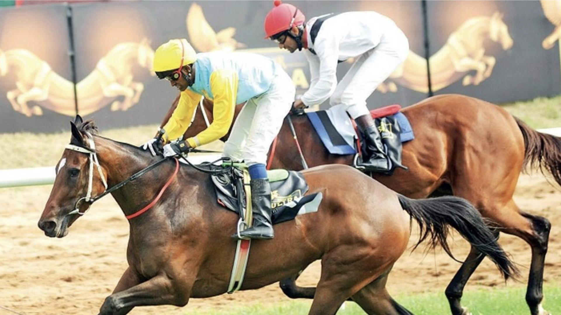 Bangalore Turf Club