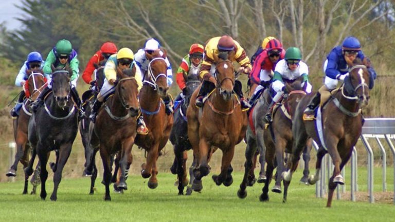 NZ Racing Integrity Board shifting into high gear ahead of new Online Casino Gambling Act