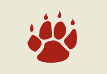 QTech Logo | AGB - Asia Gaming Brief QTech inks supplier deal for India with Woohoo