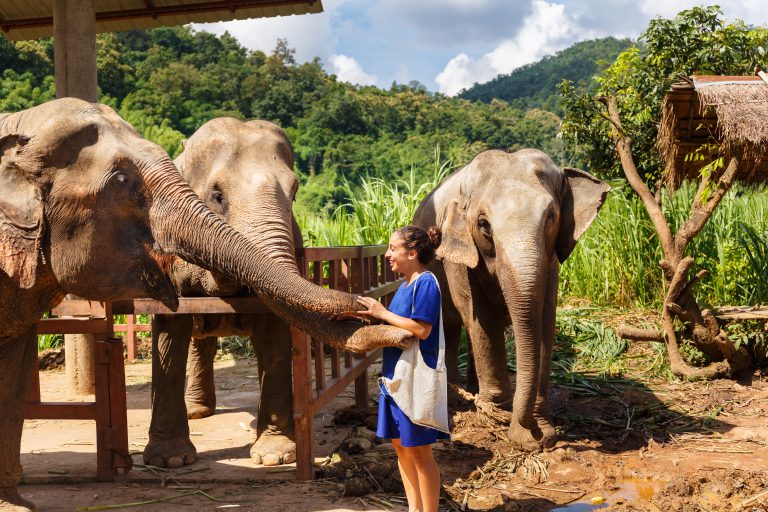 Filling international visitor gaps