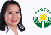 Andrea Domingo | News | Gambling | Asia Gaming News | AGB - Asia Gaming Brief Andrea Domingo