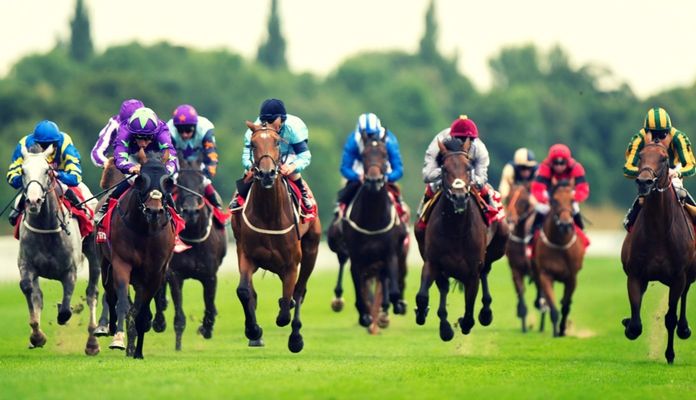 online horse betting promotions