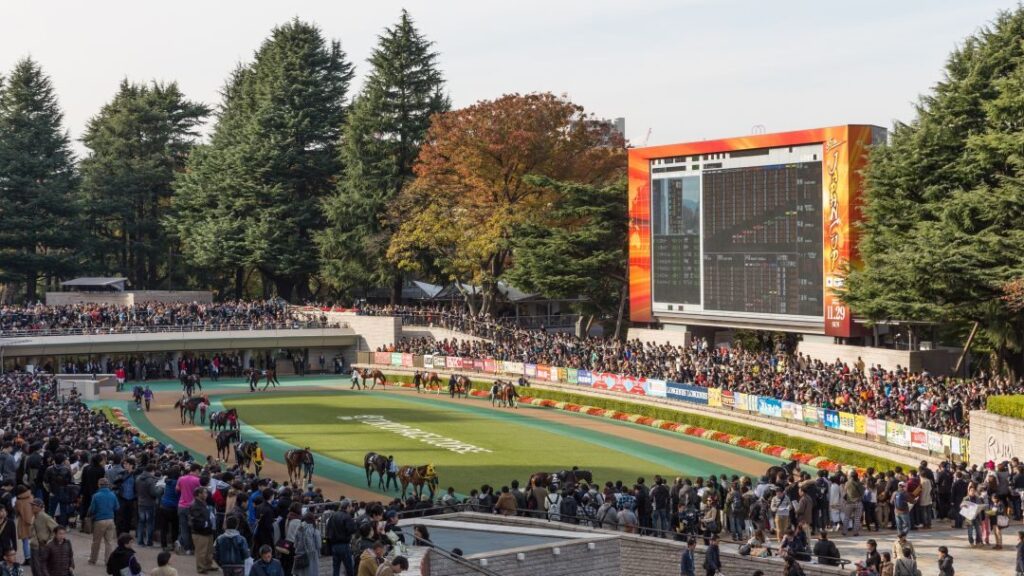 Japan, Horse racing, Gambling addiction