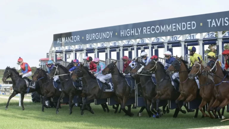 New Zealand Racing, wagering