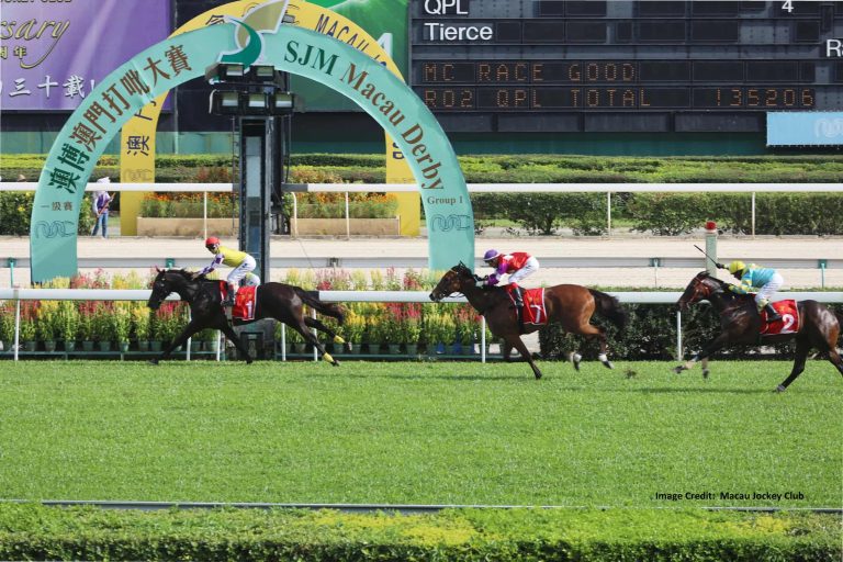 Shipment of racehorses from Macau Jockey Club to mainland China completed