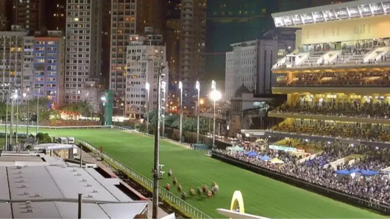 Hong Kong Jockey Club sees record high sports betting in financial year, anticipates legal basketball wagering
