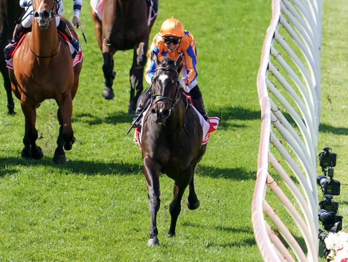 Hong Kong Jockey Club,HKJC, Wolrd Pool