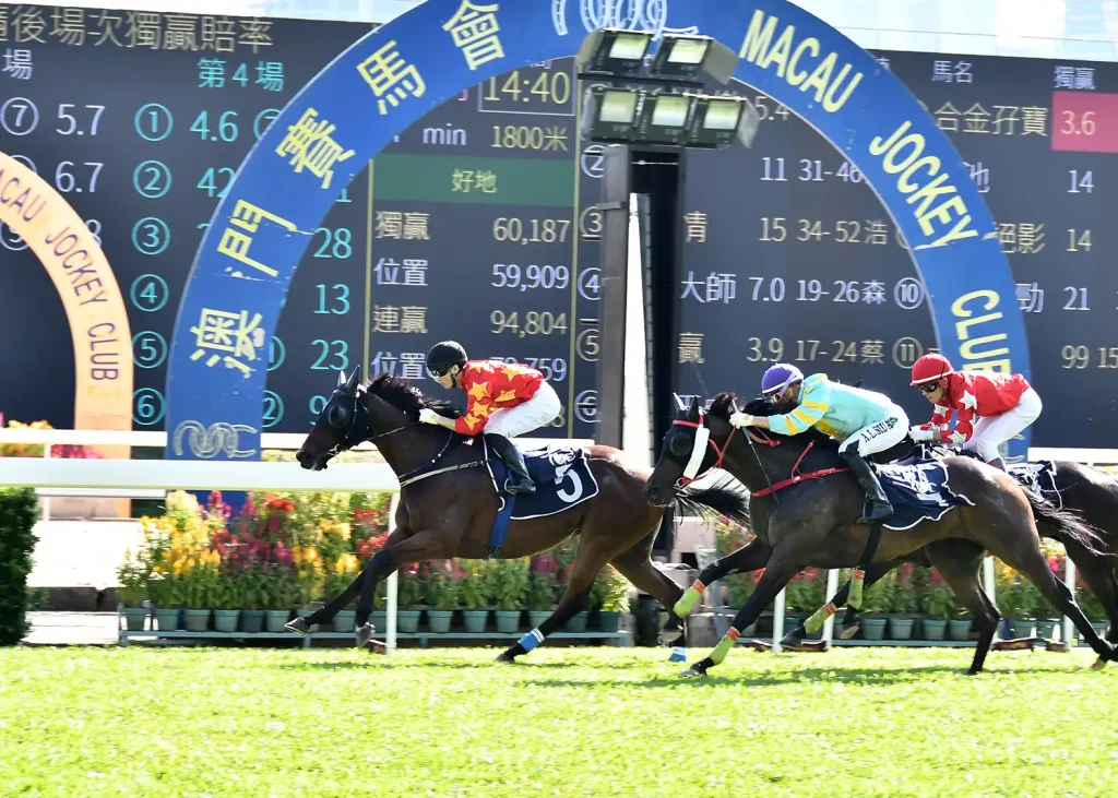 Macau Jockey Club, horse racing