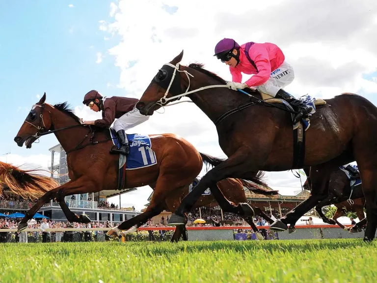 Experts at Asian Racing Conference address illegal wagering and gene doping