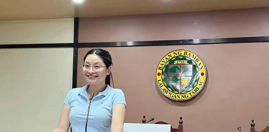 Alice Guo, POGO, POGO Mayor, Philippines