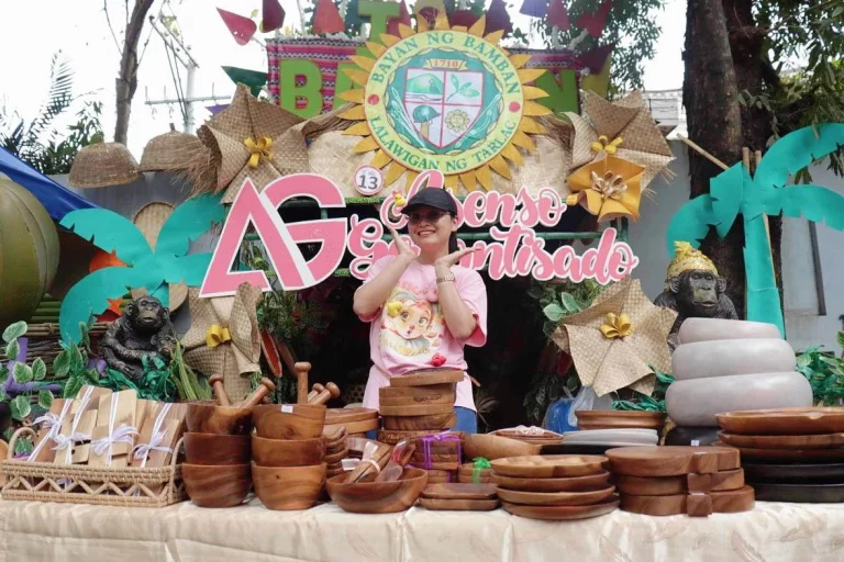 Alice Guo, POGO, POGO Mayor of Bamban, Tarlac, Philippines