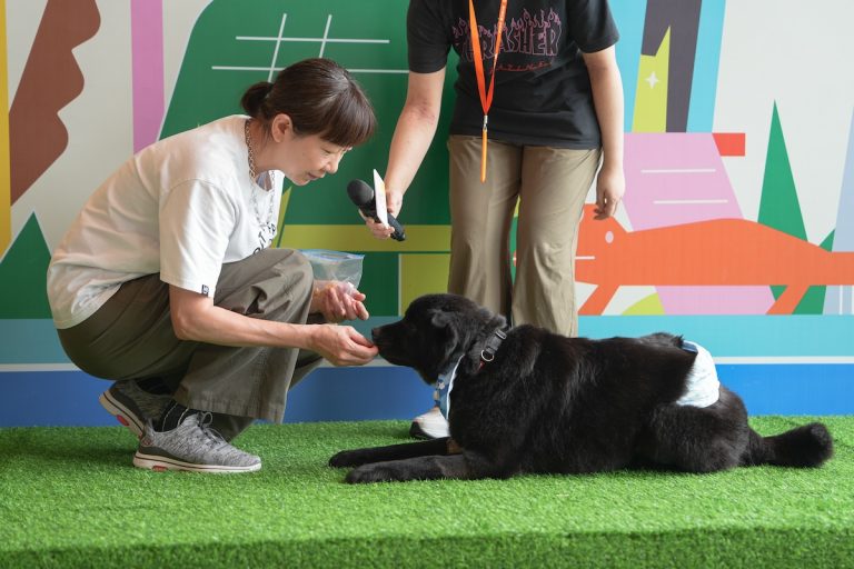 Lisboeta Macau H853 Fun Factory and Find Macau host pet adoption festival