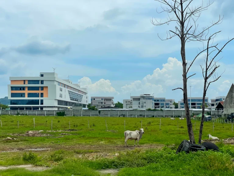 Rebranding or relocating? How POGOs might survive the Philippine ban