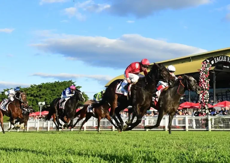Queensland racing clubs to enjoy $3.8M infrastructure upgrade investment