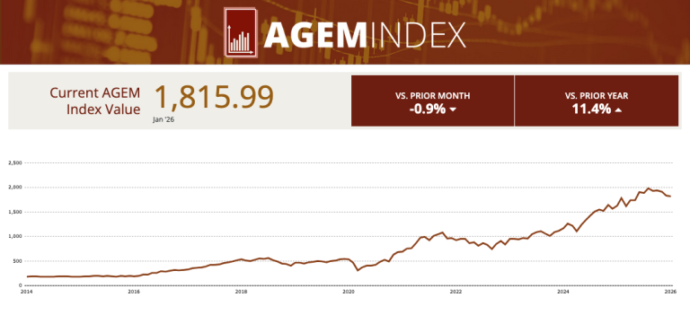 AGEM Index down by 0.9% monthly in January