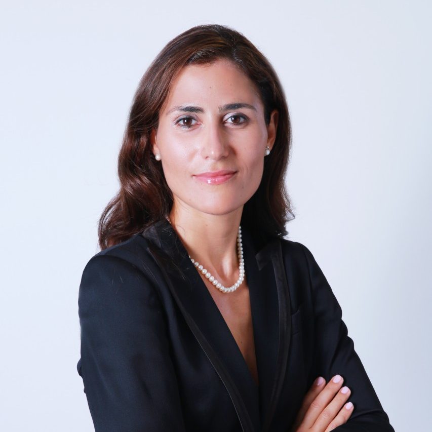 UAE aims to build regulated gaming market centred on tourism: lawyer Sofia Linhares