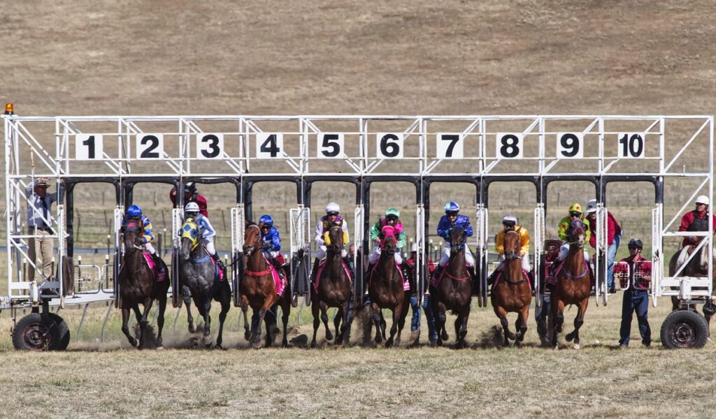 Horses and jockeys leaving the starting gate at an Australian race meeting